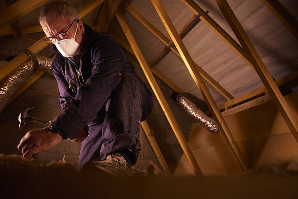 Best Commercial Insulation in Mechanicsville, VA