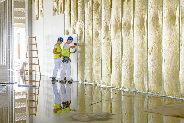 Best Blown-in Insulation in Mechanicsville, VA